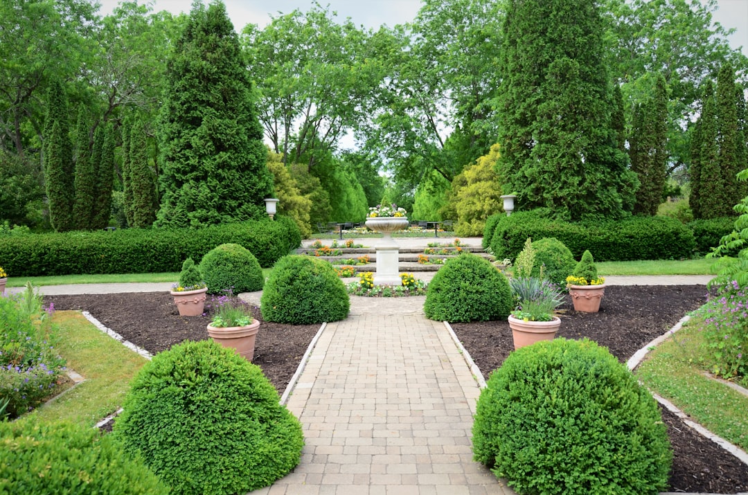 Flowers and greenery at the Garden Center